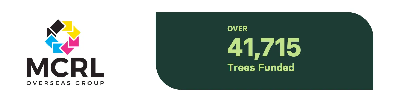 blog-10-trees-img